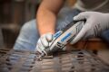 Dremel® 4250-6 128 Aksesuarlı 175 W Gravür Taşlama El Motoru F0134250JK