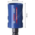 Bosch 41 mm Yapı Malzemeleri Için Panç 2608900460