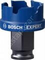 Bosch Expert Sheet Metal Delik Açma Testeresi 30 x 5 mm