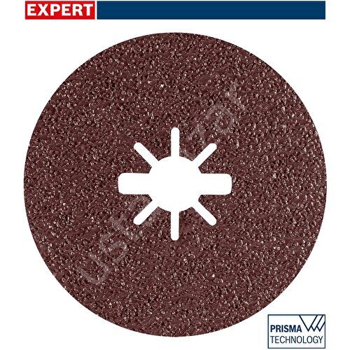 Bosch R781 Expert 125 mm 36 Kum Metal Disk Zımpara 2608621782