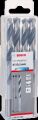Bosch - HSS-PointeQ Metal Matkap Ucu 10,1 mm 5'li 2608577269
