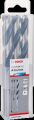 Bosch - HSS-PointeQ Metal Matkap Ucu 12,2 mm 5'li 2608577290