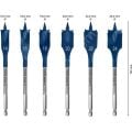 Bosch 14-24 mm 6’lı Expert Yaprak Matkap Ucu Seti 2608900332