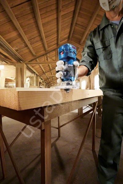 Bosch Professional GKF 550 Çok Amaçlı Freze 06016A0020