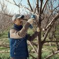 Bosch Professional Pro Pruner (Solo) Bahçe Makası 06019K1020