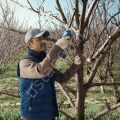 Bosch Professional Pro Pruner (Solo) Bahçe Makası 06019K1020