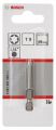 Bosch - Extra Hard Serisi Vidalama Ucu T9*49 mm 1'li 2607001630