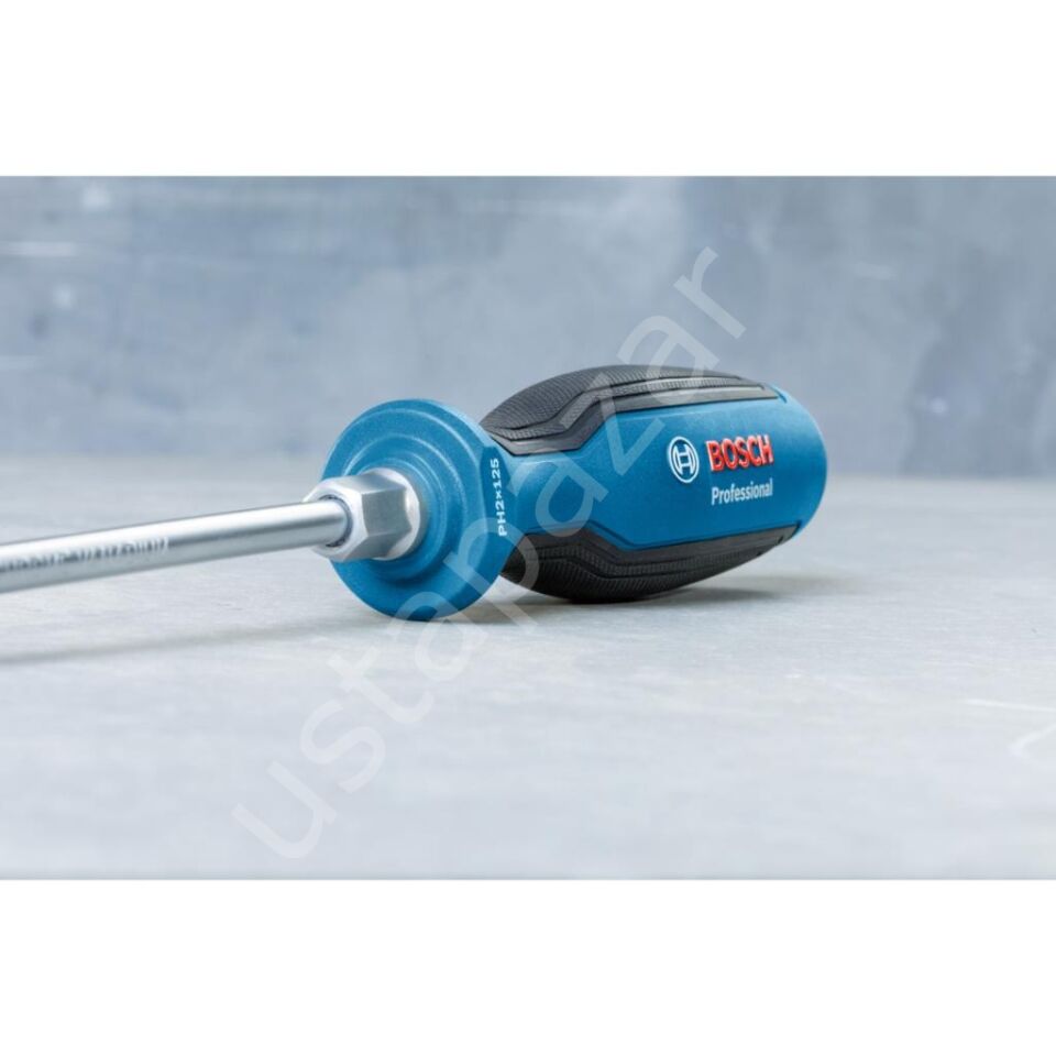 Profesyonel Tornavida SL5.5X100MM