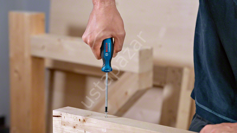 Bosch Profesyonel Torx Tornavida Seti 6 Parça 1600A01V09