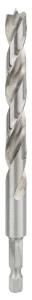 Bosch - Altıgen Şaftlı Ahşap Matkap Ucu 10*133 mm 2608595524