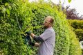 Bosch Universal HedgeCut 70 Çit Kesme Makinesi 06008C0900