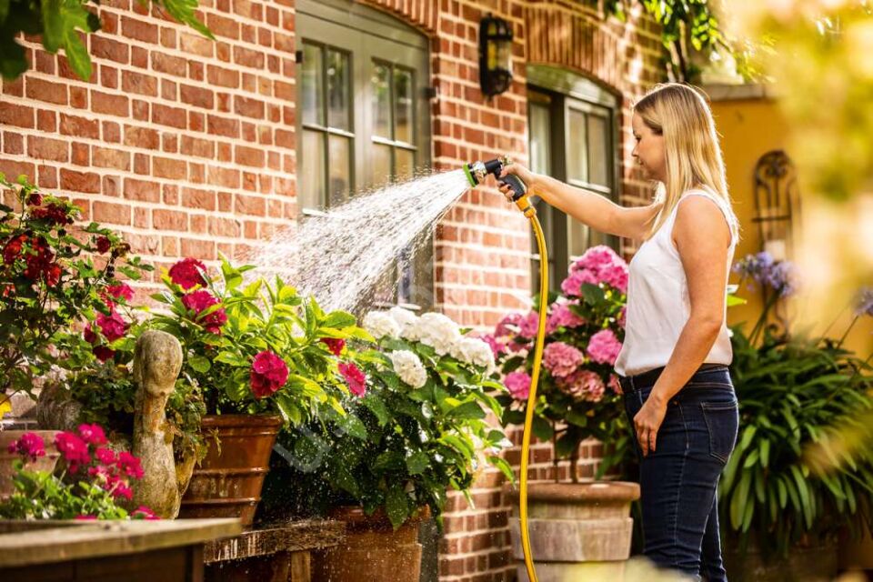 Bosch GardenPump Akülü Bahçe Pompası 06008C4200