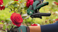 Bosch EasyPrune Budama Makası 06008B2102