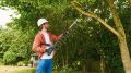 Bosch UniversalChainPole 18 Akülü Teleskopik Ağaç Budama 06008B3100