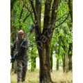 Bosch Profesyonel GKE 18V-25 TP Akülü Teleskopik Zincirli Dal Budama Makinesi SOLO (Akü ve Şarj Cihazı Dahil Değil)  06008D6000