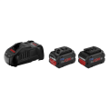Bosch Procore 18 Volt Akü Seti (2 Adet Procore 18V 5.5 Ah + Gal 1880 Cv) - 1600A0214c