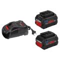 Bosch Procore 18 Volt Akü Seti (2 Adet Procore 18V 5.5 Ah + Gal 1880 Cv) - 1600A0214c