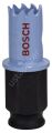 Bosch - Special Serisi Metal Ve Inox Malzemeler için Delik Açma Testeresi (Panç) 17 mm 2608584779