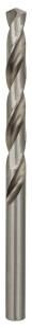 Bosch - HSS-G Metal Matkap Ucu 7,3*109 mm 10'lu Paket 2608585502