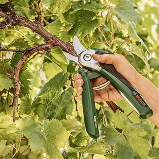 Bosch Easyprune Yedek Veya Ek Kesme Bıçağı - F016800475