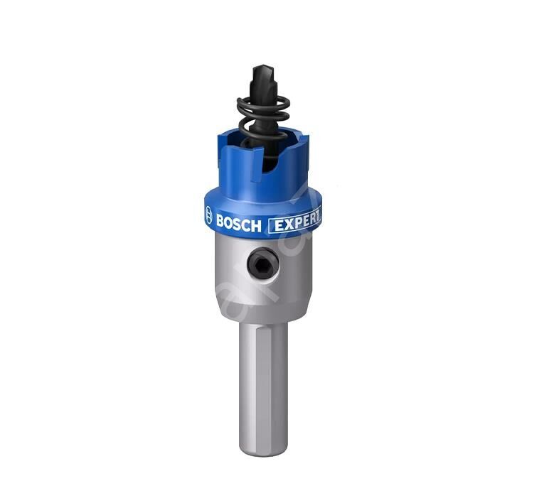 Bosch Expert Tct Elmas Uçlu Panç 18 mm