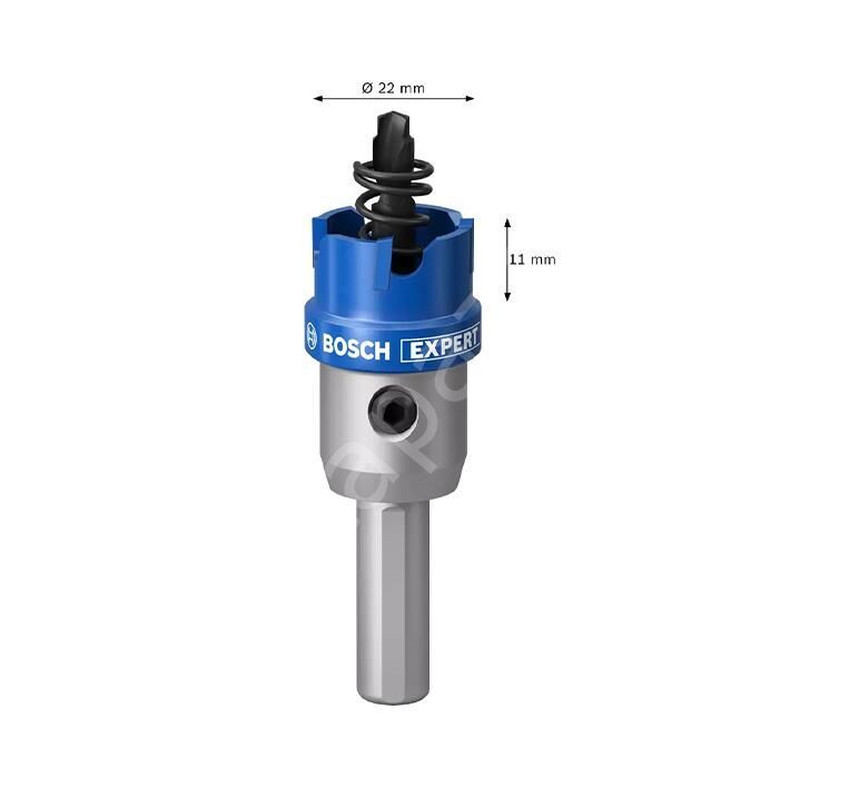 Bosch Expert Tct Elmas Uçlu Panç 22 mm