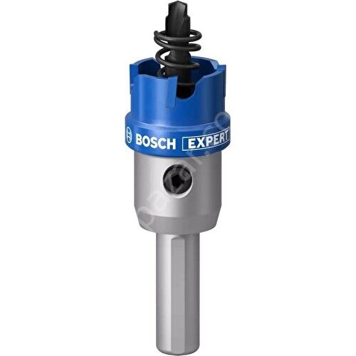 Bosch Expert Tct Elmas Uçlu Panç 22 mm