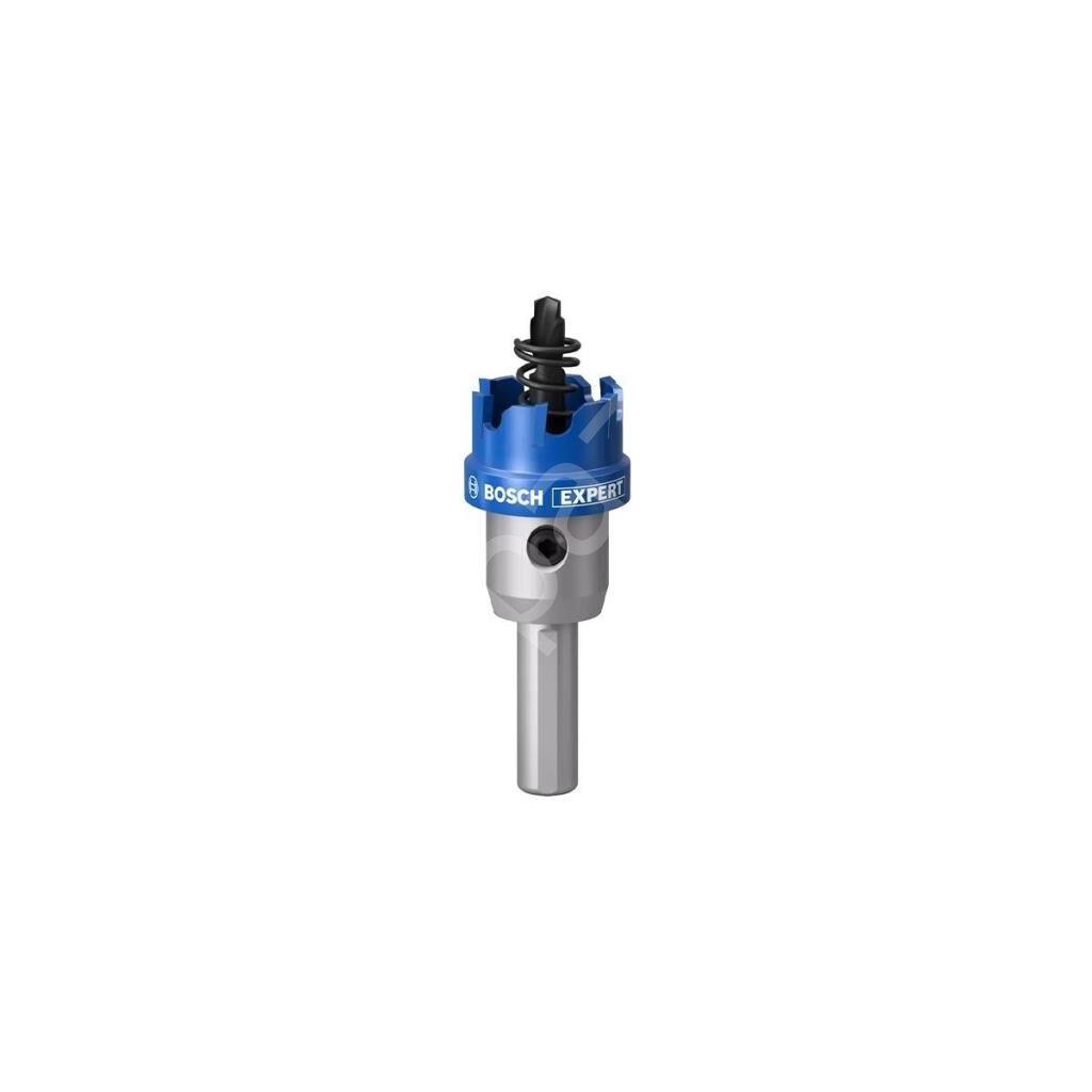 Expert 25 mm Elmaslı Inox Panç Adaptörlü 2608901408