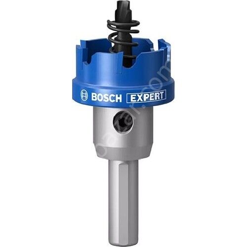 Bosch Expert 29 mm Elmaslı Inox Panç Adaptörlü 2608901412