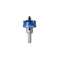Expert 34 mm Elmaslı Inox Panç Adaptörlü 2608901417