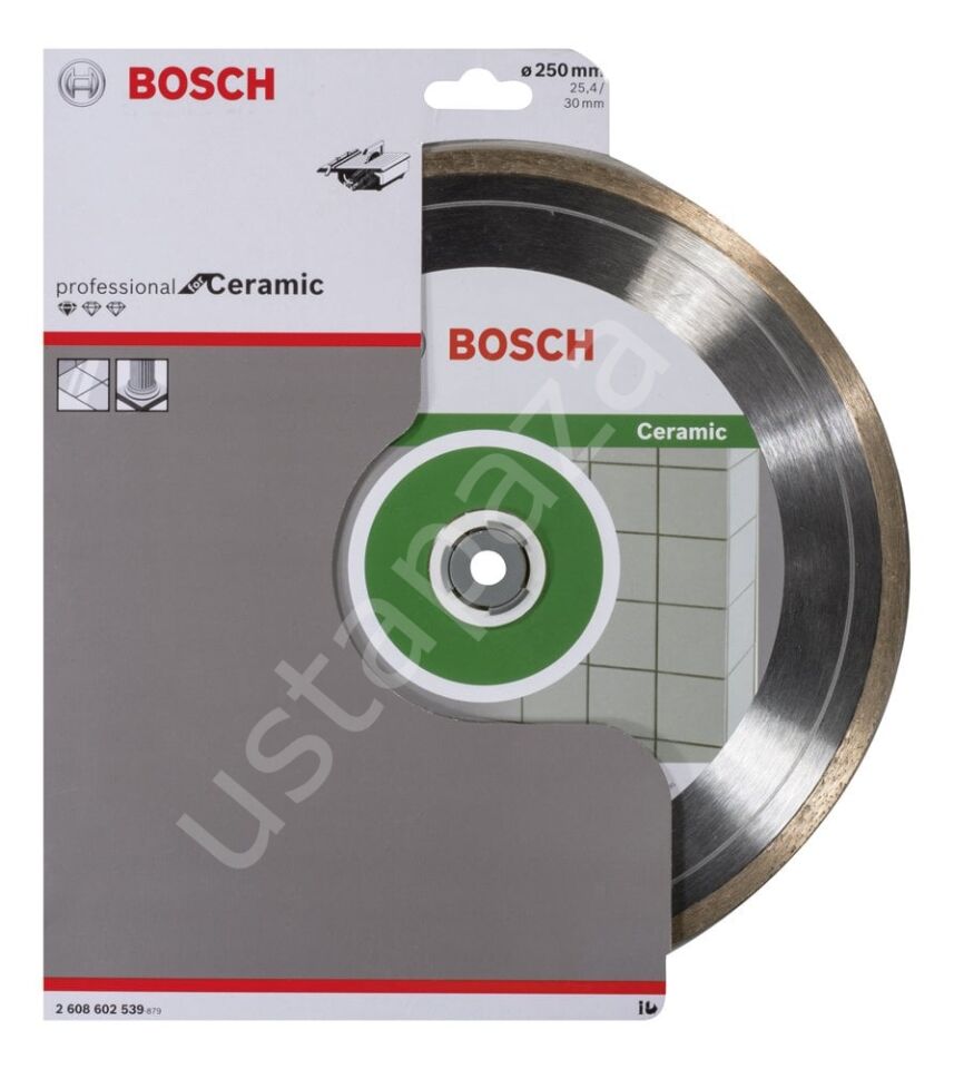 Bosch - Standard Seri Seramik İçin Elmas Kesme Diski 250 mm 2608602539